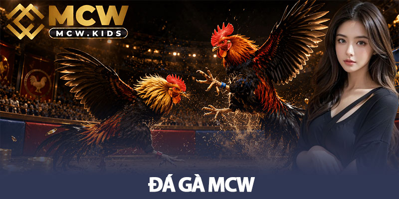 Đá gà MCW - Sân chơi đẳng cấp nhất cho cược thủ mê chiến kê 1 Đá gà MCW - Sân chơi đẳng cấp nhất cho cược thủ mê chiến kê