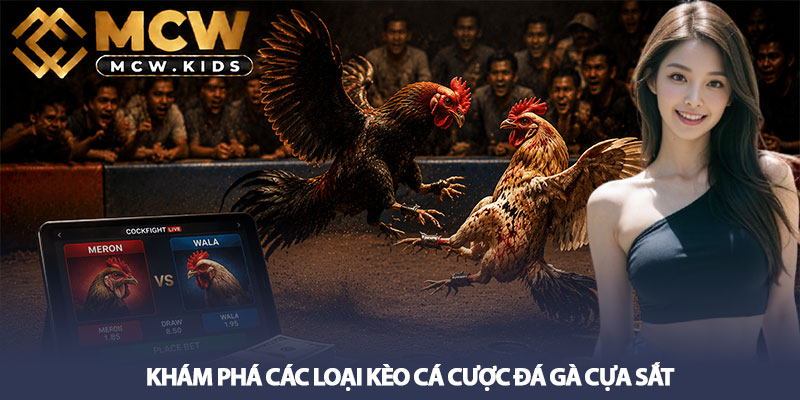 Đá gà cựa sắt MCW - Tại sao thu hút người chơi tham gia? 3 Khám phá các loại kèo cá cược đá gà cựa sắt