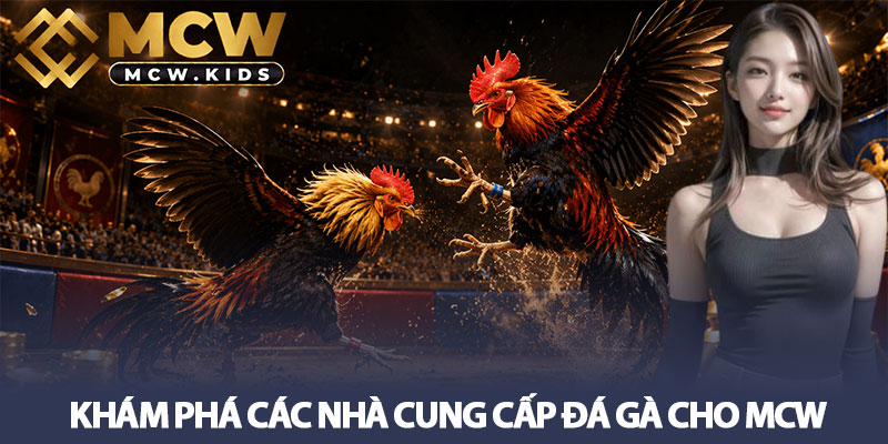 Đá gà MCW - Sân chơi đẳng cấp nhất cho cược thủ mê chiến kê 2 Khám phá các nhà cung cấp đá gà cho MCW